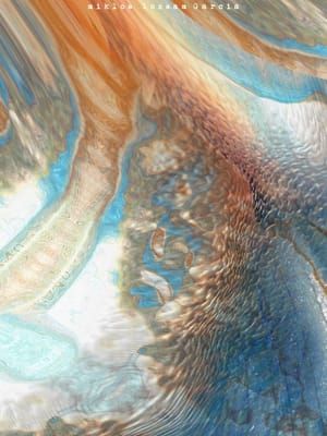 Artwork Title: Areas Rara