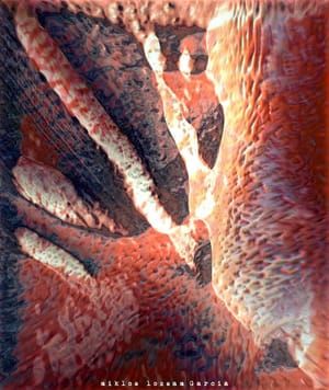 Artwork Title: Avisales