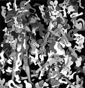 Artwork Title: Elastic Opera
