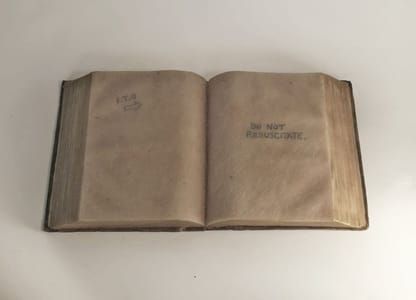 Artwork Title: DNR Order