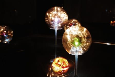 Artwork Title: Venus and Mars