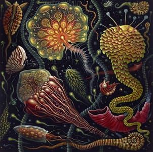 Artwork Title: Jellies