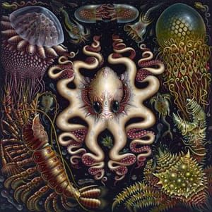 Artwork Title: Seafauna