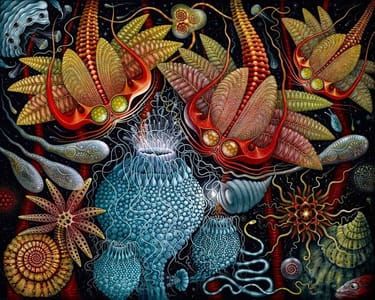 Artwork Title: Untitled