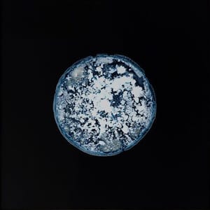 Artwork Title: Opium