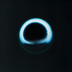 Artwork Title: Valium
