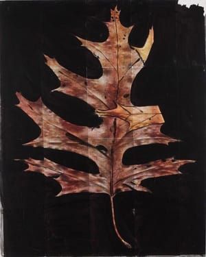 Artwork Title: Untitled