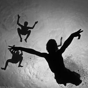 Artwork Title: Free Play