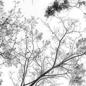 Artwork Title: Untitled