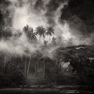 Artwork Title: Apocalypse Now
