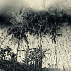 Artwork Title: Untitled