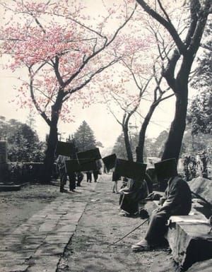 Artwork Title: Blossoms in a Graveyard