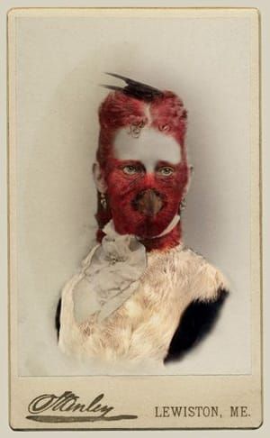 Artwork Title: Aviary (Red-headed Woodpecker)