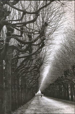 Artwork Title: From Martine Franck: One Day To The Next