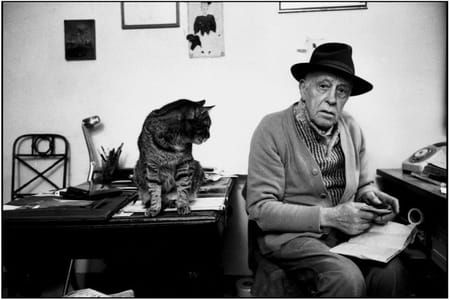 Artwork Title: Swiss Sculptor Diego Giacometti at Home with Cat