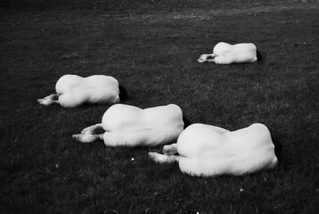 Artwork Title: Untitled