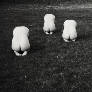 Artwork Title: Untitled