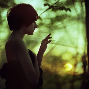Artwork Title: Photography