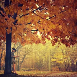 Artwork Title: ...Autumn (2)