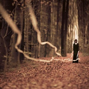 Artwork Title: ...I Lead