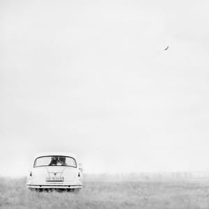 Artwork Title: Morning