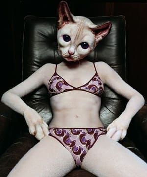 Artwork Title: Sitting Pussy Cat