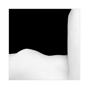Artwork Title: Untitled