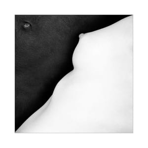 Artwork Title: Untitled