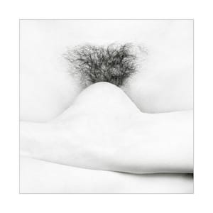 Artwork Title: Untitled
