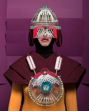 Artwork Title: Armures