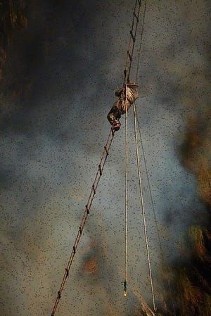Artwork Title: Gurung Honey Hunters