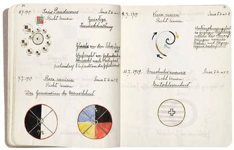 Artwork Title: From A Work on Flowers, Mosses and Lichen, July 2 1919