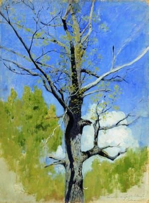 Artwork Title: The Trunk of a Blossoming Oak (etude)