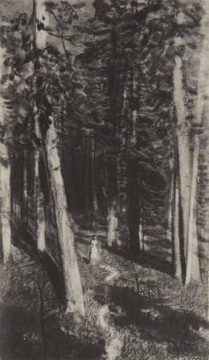 Artwork Title: In the Woods