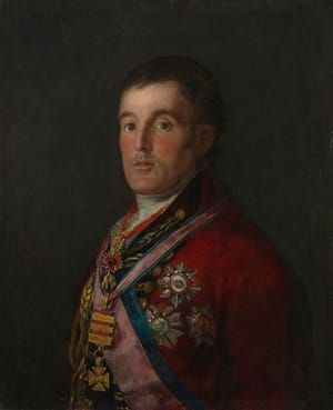 Artwork Title: The Duke of Wellington
