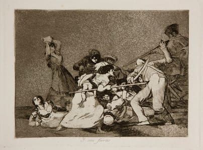 Artwork Title: Los Desastres de la Guerra - No. 05 - Y son fieras