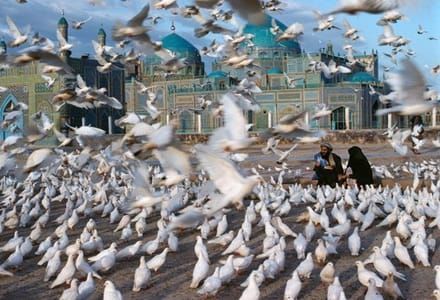 Artwork Title: The Blue Mosque at Mazar