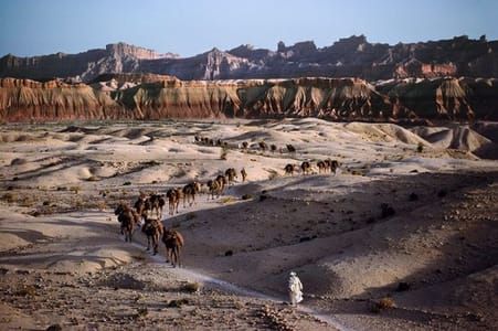 Artwork Title: A Camel Caravan