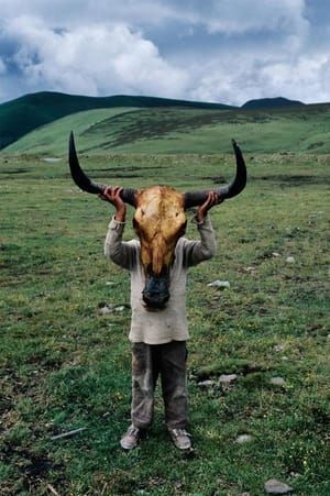 Artwork Title: Litang, Tibet