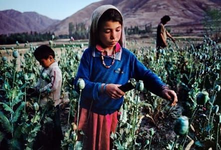 Artwork Title: Children work in an poppy field