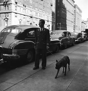 Artwork Title: Doorman Walking Dog