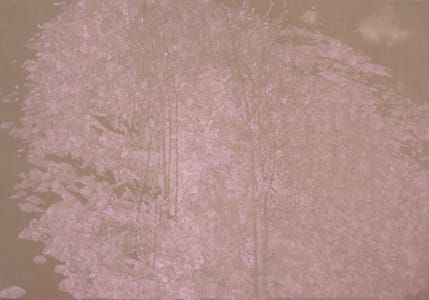 Artwork Title: Purple Snowfield