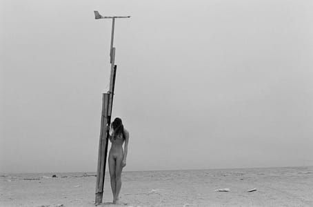 Artwork Title: Untitled