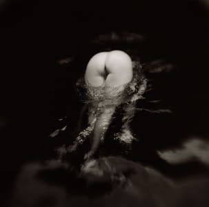 Artwork Title: Untitled