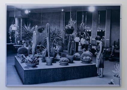Artwork Title: Cactus Cuttings