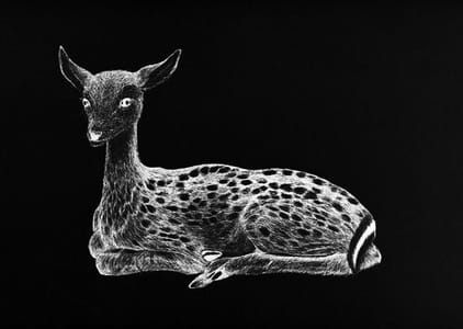 Artwork Title: Bambi, after Kiki Smith