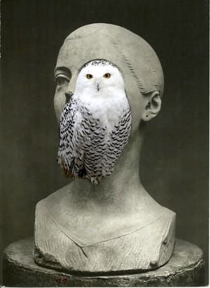 Artwork Title: Untitled (Castrum Peregrini)
