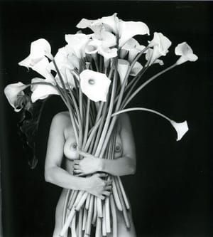 Artwork Title: Untitled