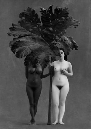 Artwork Title: Untitled