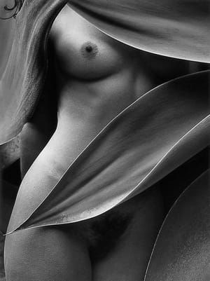Artwork Title: Untitled
